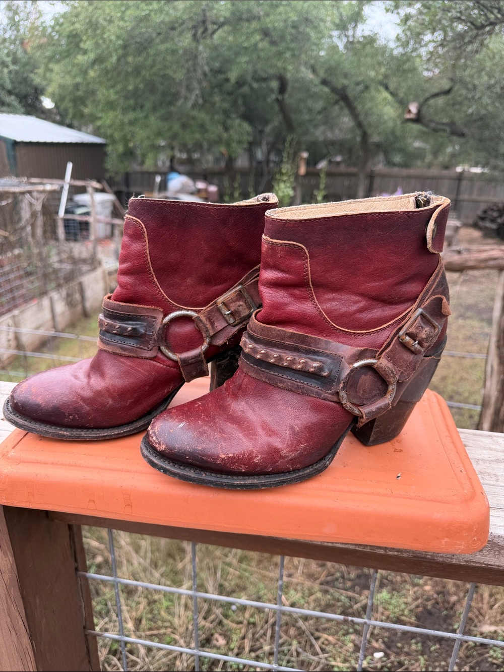Freebird by Steven Rust Leather Harness Ankle Boots